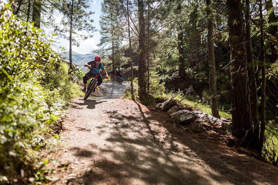 Moos Trail is a bike trail through the forests above Zermatt village.